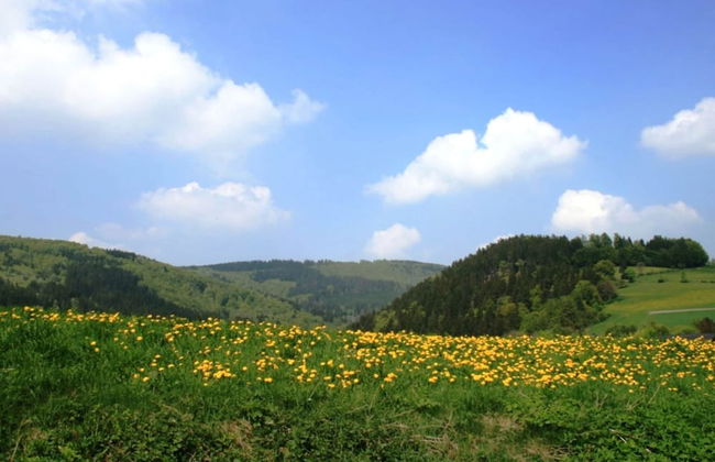 Apartment in Willingen Near Ski Slopes - Photo 35