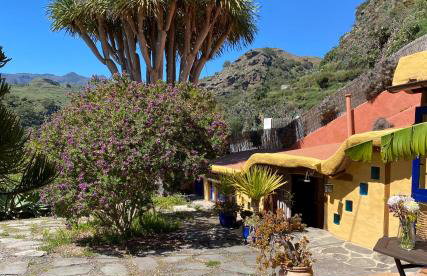 Vivelorural casa La Cuevita, Santa Brígida - Foto 29