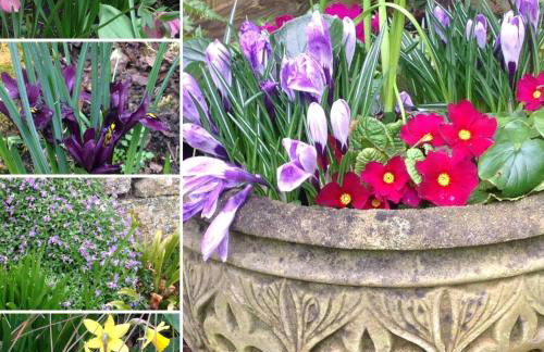 Dove Cottage - Foto 75