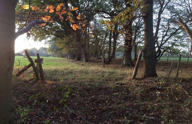 Oak House Farm - Foto 11