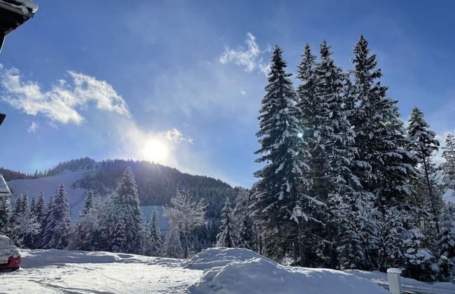 Holiday Apartment Alpengluhen - Foto 37