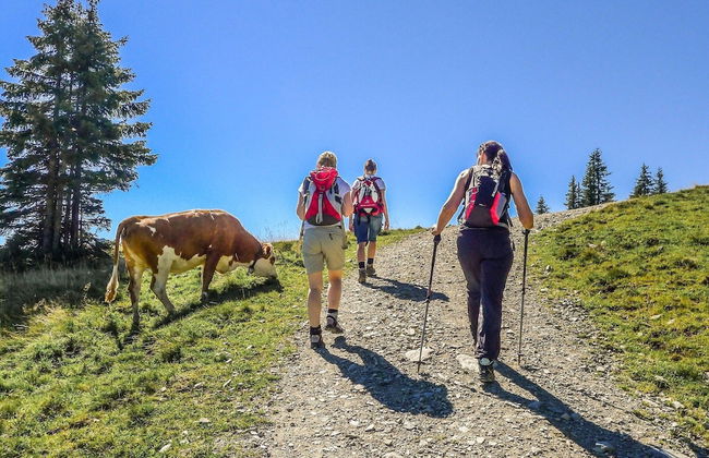 Apartment in Brixen Near Wilder Kaiser Gondola - Foto 23