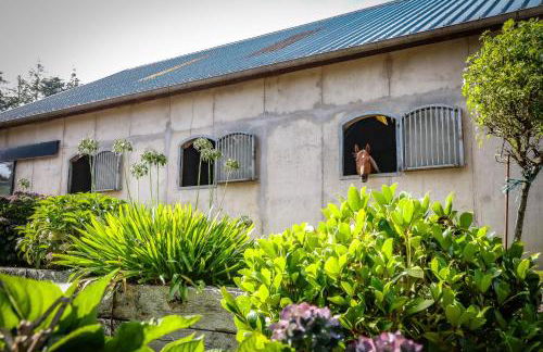 Le Cottage de la Doucette - Foto 10