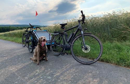 Ferienwohnung Dr. Eisenbart - Foto 38