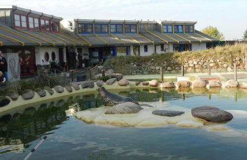 Ferienhaus Nordseejuwel - Foto 37