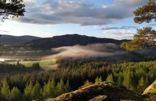 Sunnyside Cottage 2 Bedrooms 1 Bathroom 1 WC 2 Pets Welcome - Foto 30