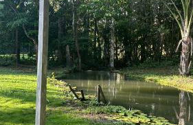 COP 30 - Sítio Paraíso Eco Pousada - Photo 3