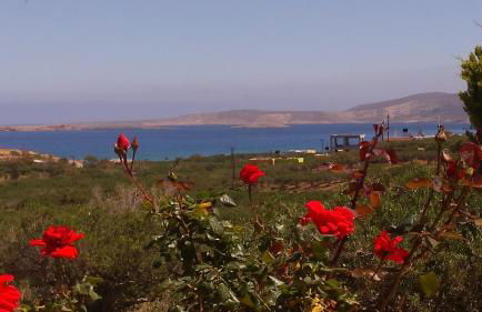 Galini Apartments - Photo 16