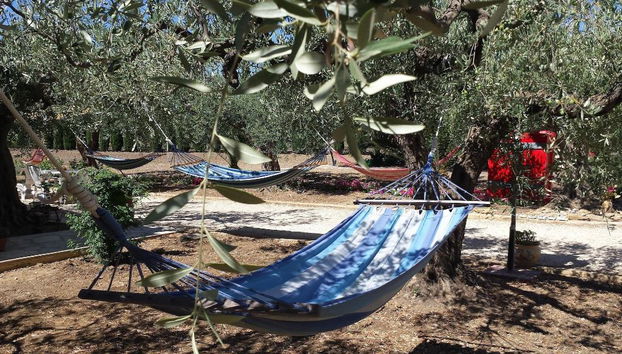 Agrisicilia - Foto 4