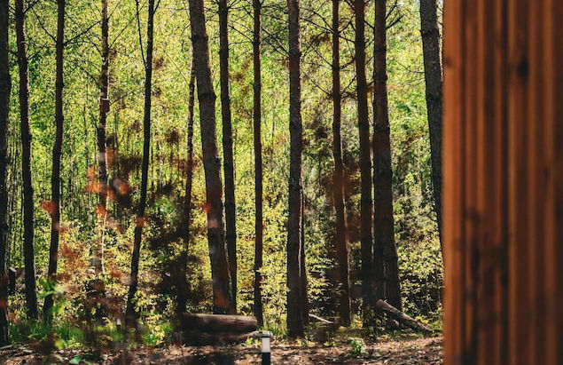 Osada LoveLaski - Foto 53