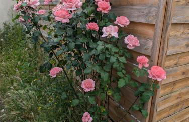 PETIT MAS COSY DU BORD DE LOIRE a 15 MM DU PARC LE PAL - Foto 44