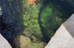 Natural&Mente Apartamentos Valle del Jerte - Foto 8