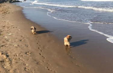 5, Sandleigh Apartment - Foto 18