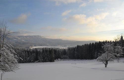 Hans-Girgl-Hof - Foto 78