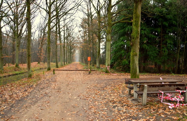 Cosy Holiday Home in Maarheeze With Verandah - Foto 66