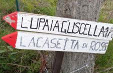 La Casetta di Ross - Foto 34