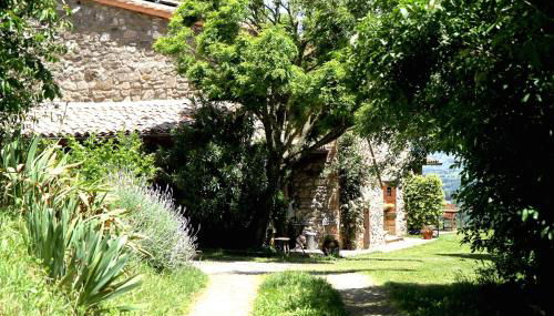 Podere Porcino - Foto 5