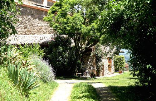 Podere Porcino - Foto 5