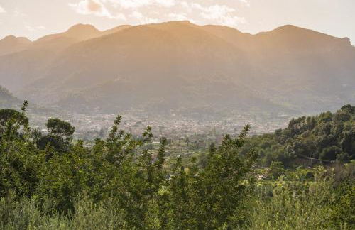 S'Olivaret - Foto 44