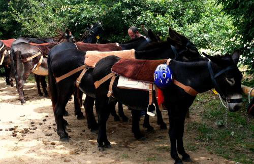 Apartment Sant Francesc - Photo 52