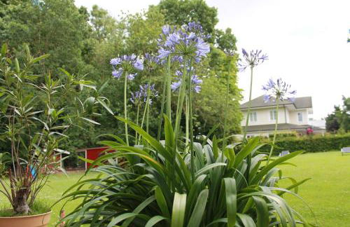 Forsthaus Wendt - Foto 5