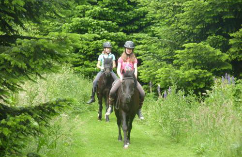 Ferienhof Werner - Foto 29