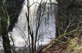 Rose Cottage. Family home on the river - Foto 71