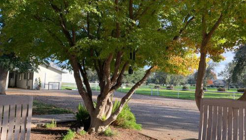 Ranch Resort Suite Near Sequoias - Foto 3