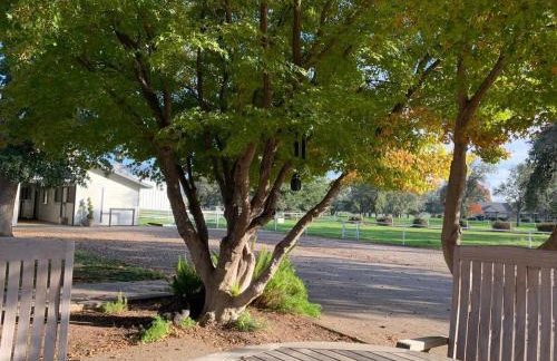 Ranch Resort Suite Near Sequoias - Foto 3