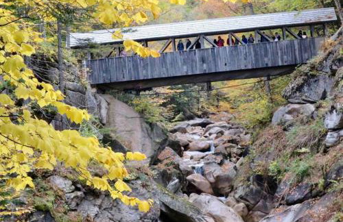 Exposed Beam 3BR Modern Mountain Retreat - Foto 37