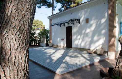 Sargantana Blava - Foto 51