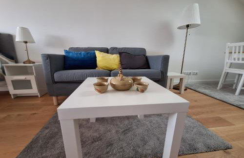 Studio 1 rénové lit queen size balcon garage - Foto 9