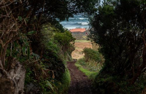 Kuanza Nature Experience, Fajã do Belo - Foto 7