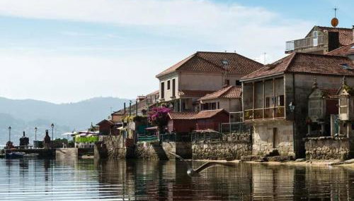 La Casa de las Ranas - Foto 3