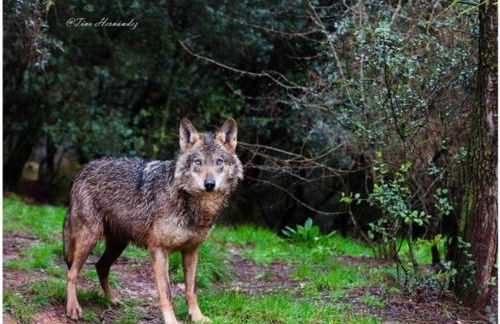 Casa rural LAS TABLAS - Foto 15