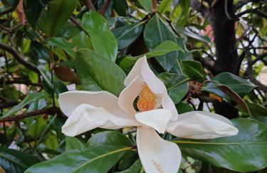 Alloggio i querceti - Foto 12