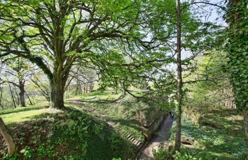 Maison Privilège Nature à La Petite Pierre - Foto 7