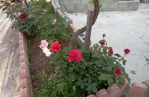 Rose Garden Cottage - Foto 7