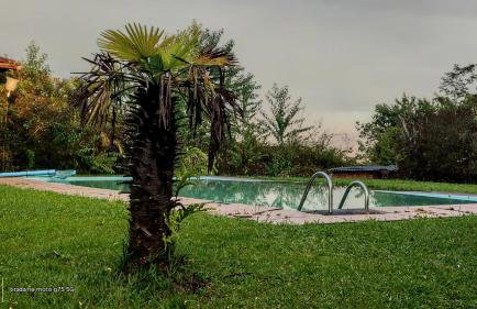 Fazenda Vista Soberba - Foto 59