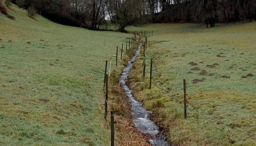 Waldzauber 2 Budget-Apartment - Foto 4