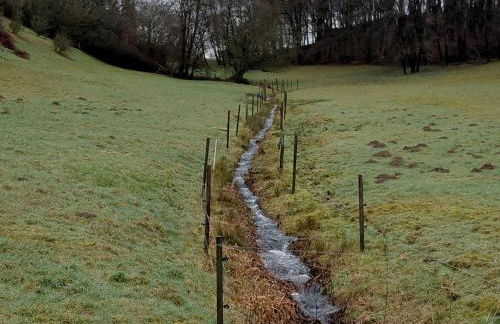 Waldzauber 2 Budget-Apartment - Foto 4