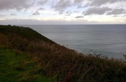 Le St Laurent - Photo 9