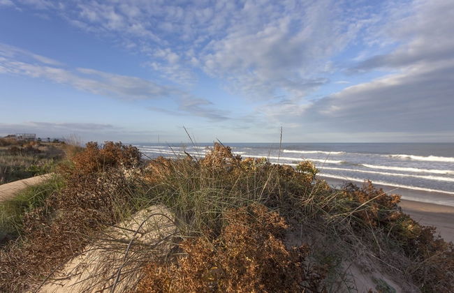 Brezo in Oliva With 2 Bedrooms and 2 Bathrooms - Foto 31