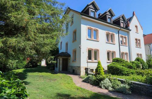 Löwe Apartment Gelb Tiengen Altstadt - Foto 23