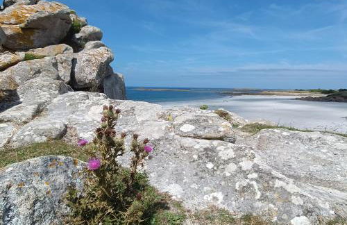 le petit moulin de Kerloroc - Foto 28
