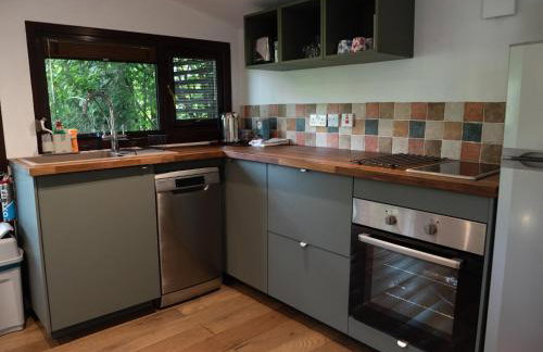 Treetops Lodge, private Cornish hideaway, parking, garden - Foto 74