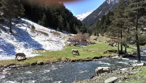 Reflets montagnards - Foto 3