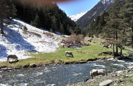 Reflets montagnards - Foto 3