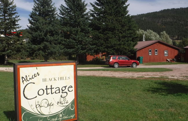 Alice's Black Hills Cottage - Foto 28