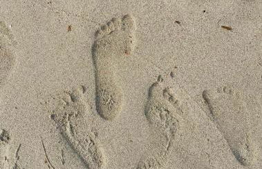 Casina Baglio - Photo 30